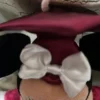 Minnie Mouse graduation plush - Image 2