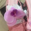 Pretty little thing pink Sandler size 8 brand new - Image 5