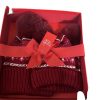 Family Style 1 x Adult Beanie & 1 x Child Beanie gift set new red
