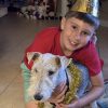 The Adventures of Caleb AND Pinky: THE ENCHANTED JOURNEY  Kids 9+ - Image 7